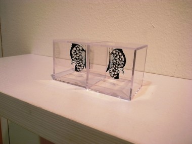 Dentelles de papier de Hina Aoyama – Art paper