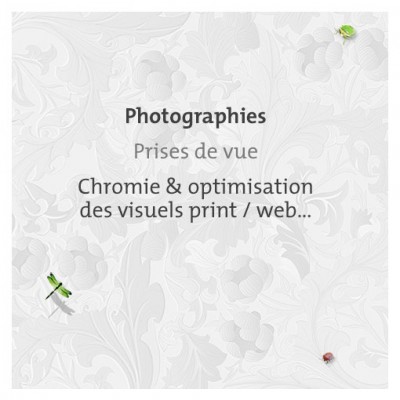 Graphiste freelance, Photographies, Prises de vue, Chromie visuels