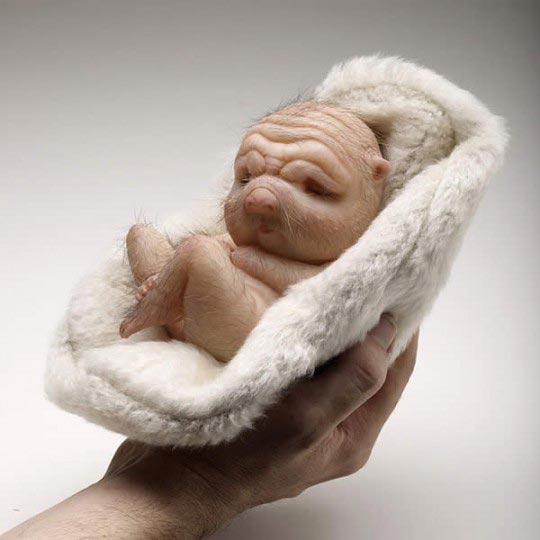 Patricia Piccinini – Founding-2008