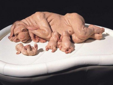 Patricia-Piccinini – The-Young-Family – 2002-2003