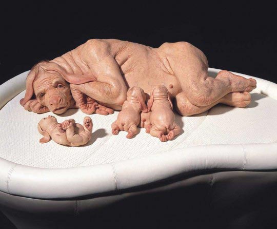 Patricia-Piccinini – The-Young-Family – 2002-2003