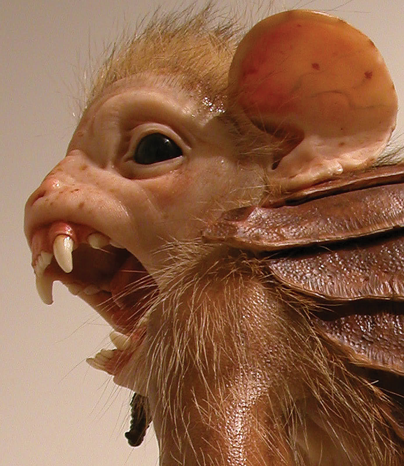 Bodyguard – Patricia Piccinini