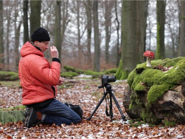 Bernd Rugemer – Moonshroom photographies