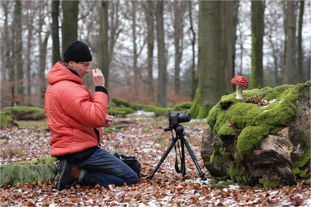 Bernd Rugemer – Moonshroom photographies