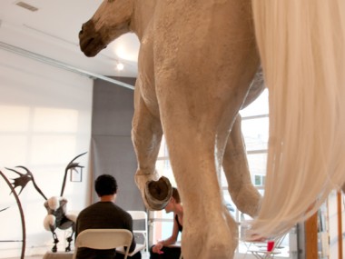 Sculpture Susannah Zucker horse