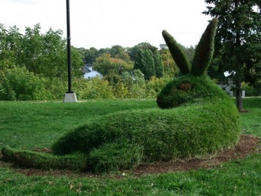 Mary Catherine Newcomb/ sculpture nature