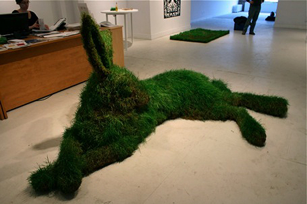 hare - Mary Catherine Newcomb/ sculpture nature