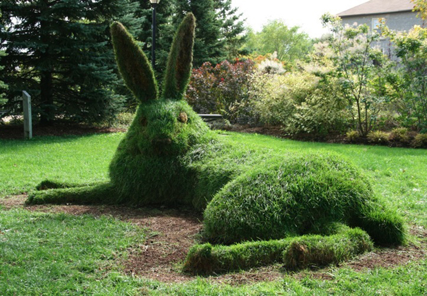 hare – Mary Catherine Newcomb/ sculpture nature