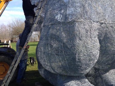 Sophie Ryder Artist – sculptures ceramic