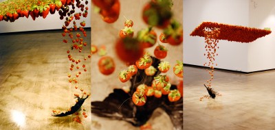 Caire Morgan – Fluid taxidermied crow and strawberries collide – http://www.claire-morgan.co.uk/