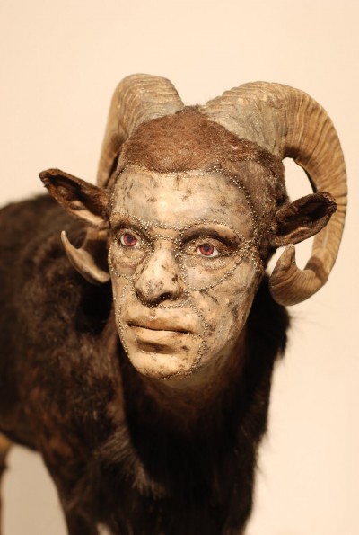 Kate Clark – taxidermie art – http://www.kateclark.com/