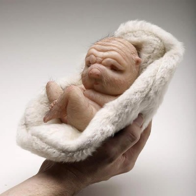 Patricia Piccinini – Founding – 2008