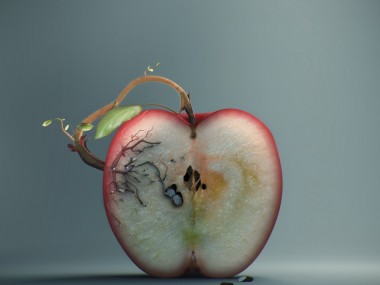 Andrey Bobir- apple tree