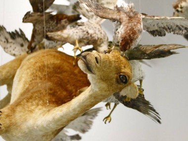 Cai Guo-Qiang – Flying Together (2011)