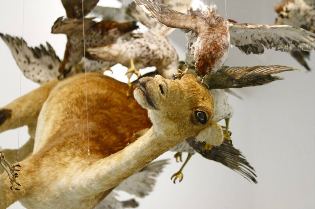 Cai Guo-Qiang – Flying Together (2011)