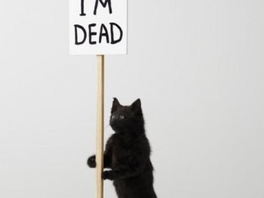 David Shrigley – I’m dead