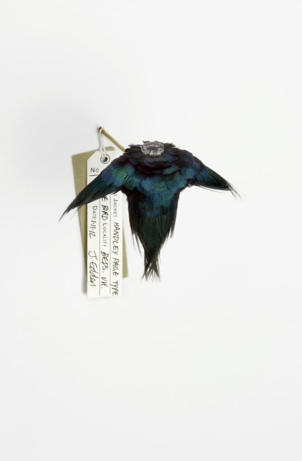 Jane Edden – Flying jackets – Ornithomorph exibition