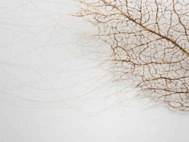 Jenine Shereos – Art Hair -leaf_02_detail