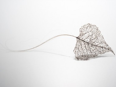 Jenine Shereos – Art Hair -leaf_03