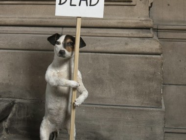 Dog, Im dead – http://ow.ly/pacVn
