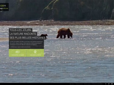 zoom-disney-nature-site-responsive