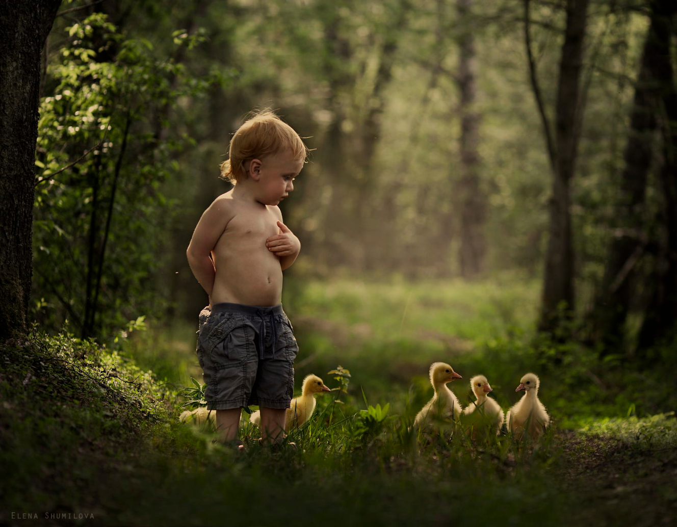 Elena Shumilova – Photographie-Summertime