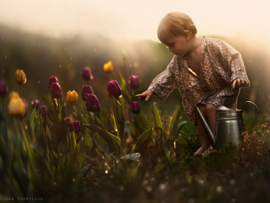 Elena Shumilova – Photographie – Tulipes