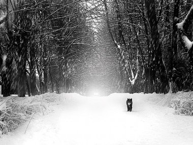 Elena Shumilova – Photographie5