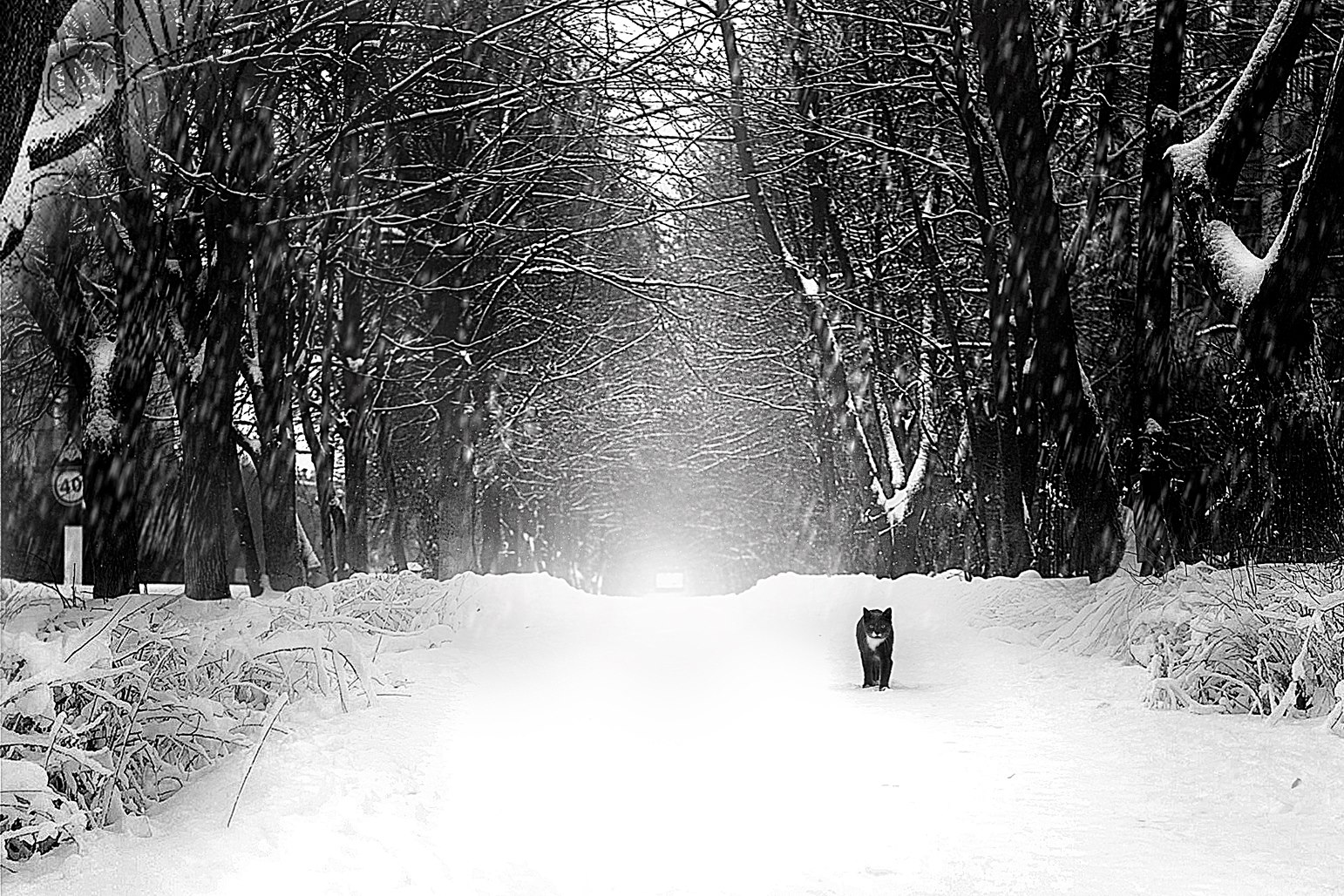 Elena Shumilova – Photographie5