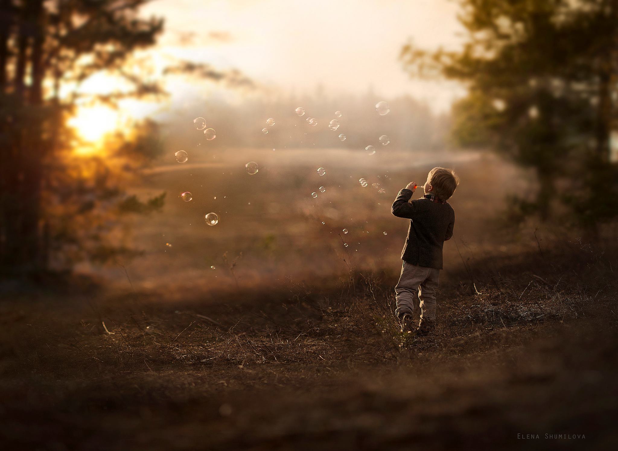 Elena Shumilova – Photographie7