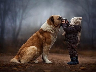 Elena Shumilova Photography #dog #child #animallovers #ambiance