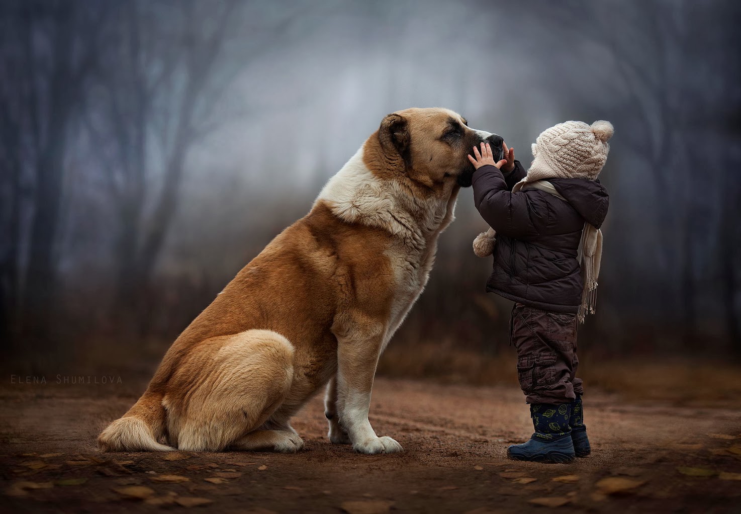 Elena Shumilova Photography #dog #child #animallovers #ambiance