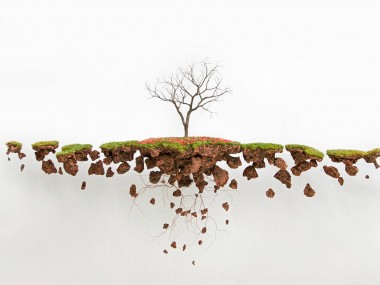 Jorge Mayet – arbre sculpture