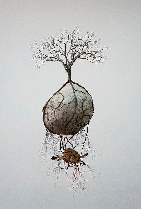 Jorge Mayet – sculpture racine, arbre