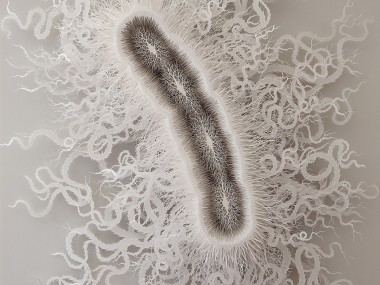 Rogan Brown – Paper Sculptures Cut microbe