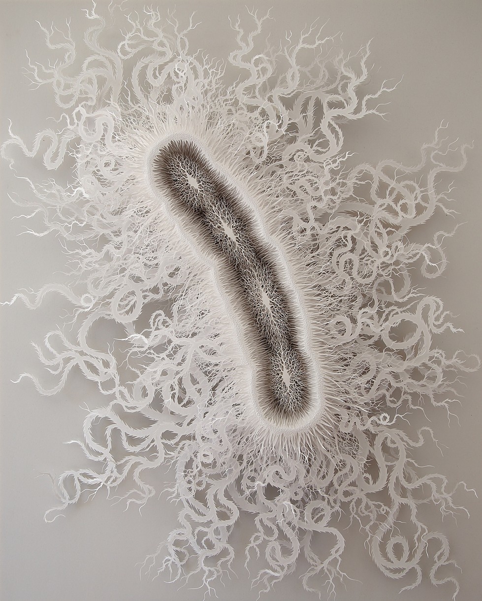 Rogan Brown – Paper Sculptures Cut microbe