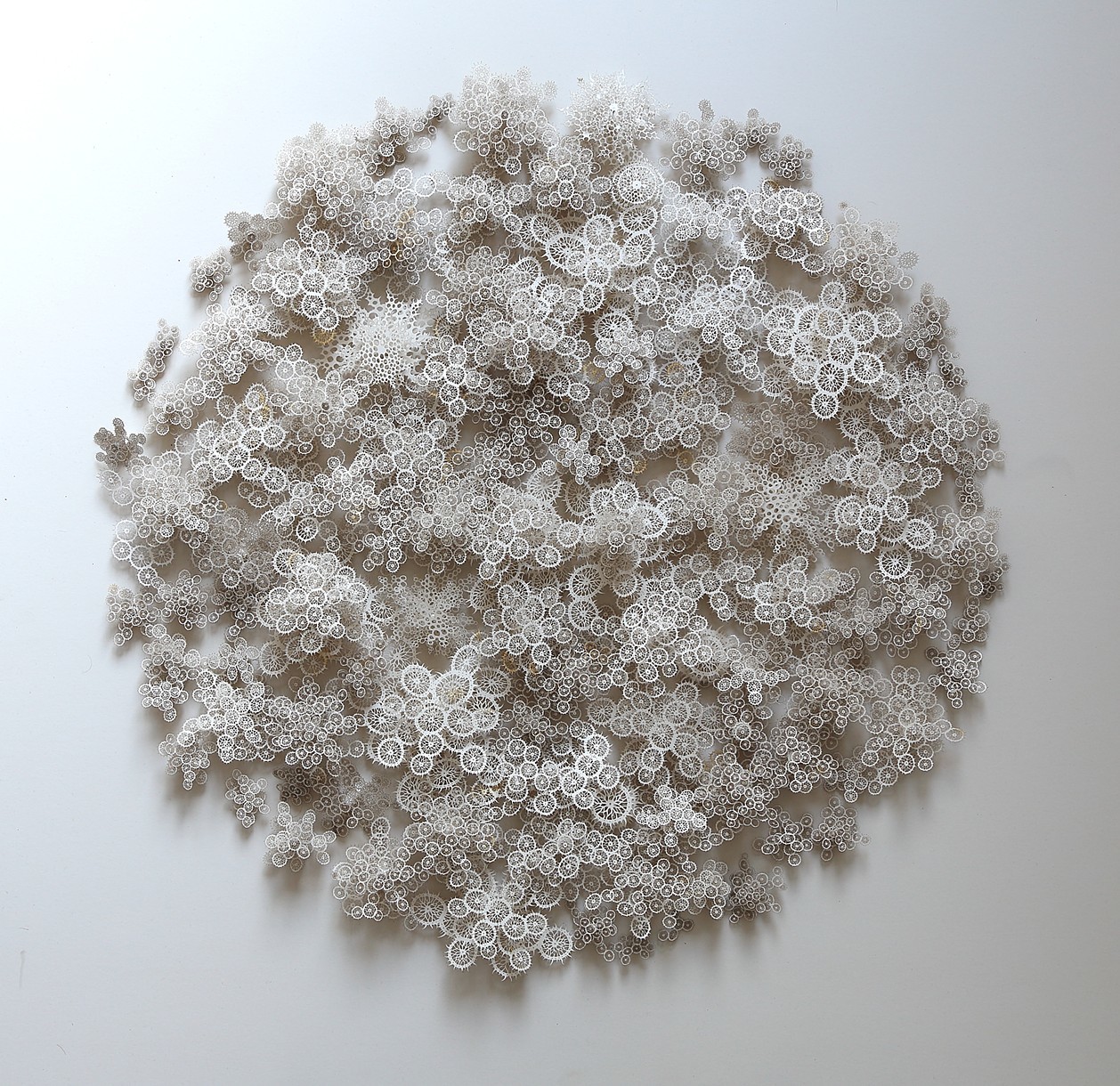 Rogan Brown – Paper Sculptures « Magic circle »