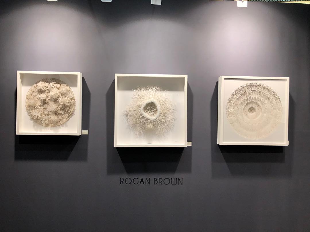 Rogan Brown – Paper sculptures expo