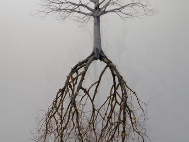 Jorge Mayet – sculptures trees