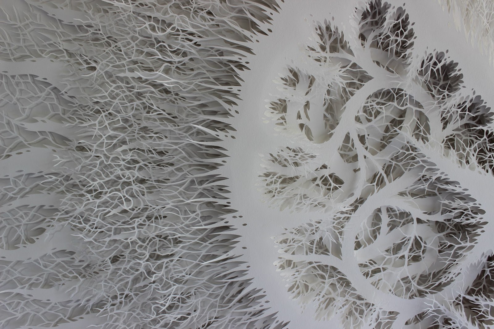 Rogan Brownart – « Kernel » Hand cut layered paper sculpture