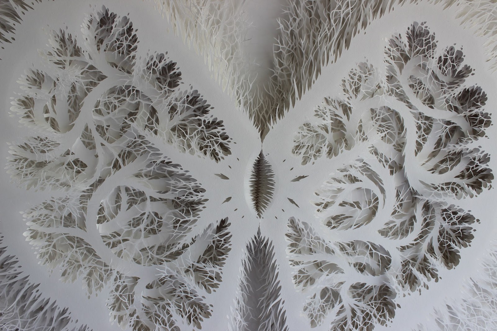 Rogan Brownart – « Kernel » Hand cut layered paper sculpture