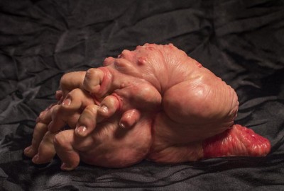 « Portia » – Fleshlette sculpture by Jon Payne.