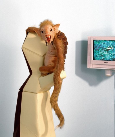 Patricia Piccinini – Hyperrealiste sculpture