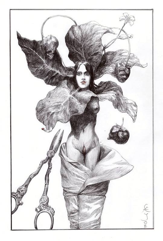 Santiago Caruso – mandragora