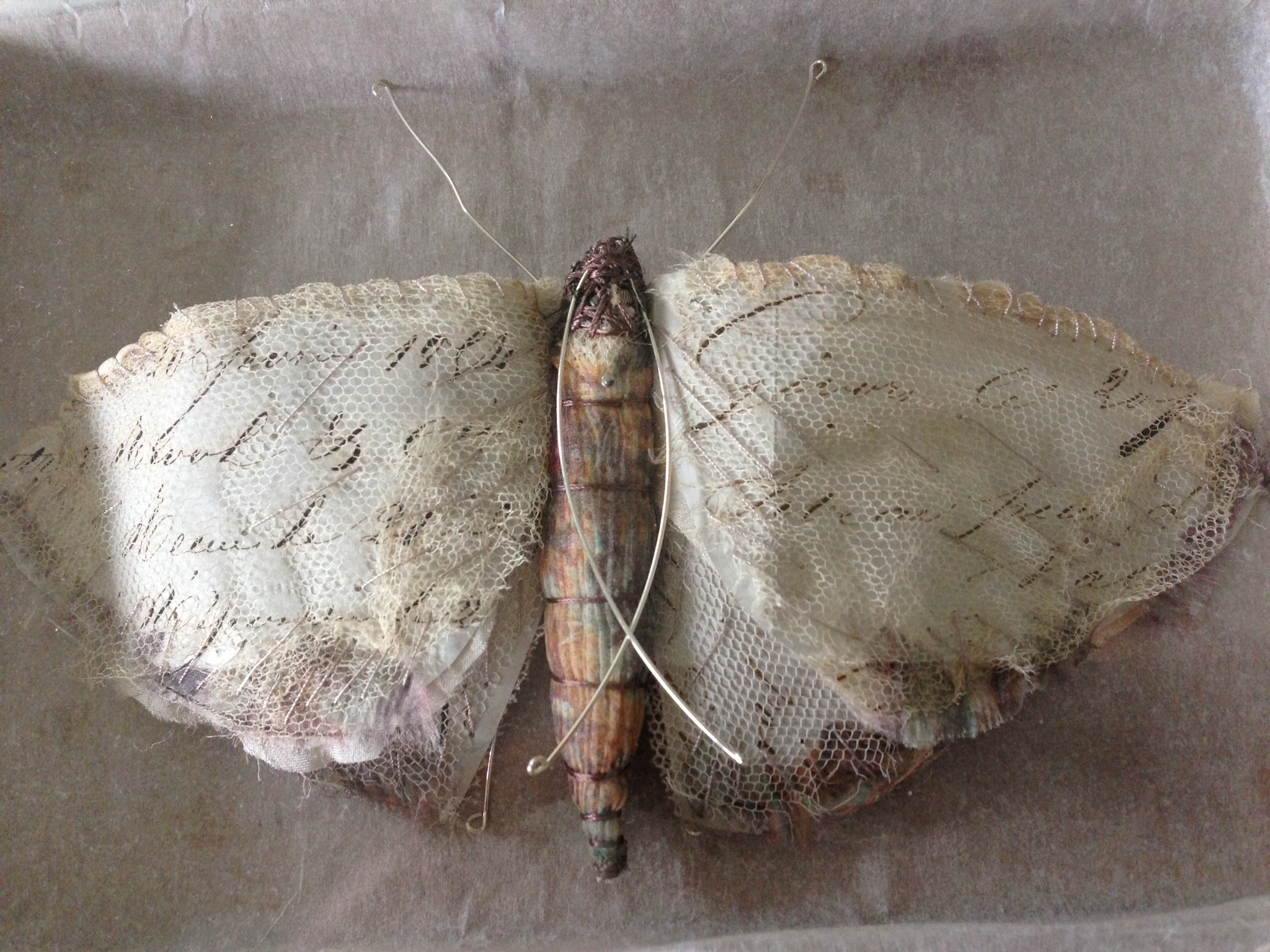 Script Moth , Caroline Lingwood2