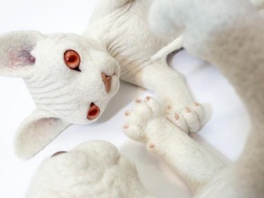 Zoë Williams – cats sculptures