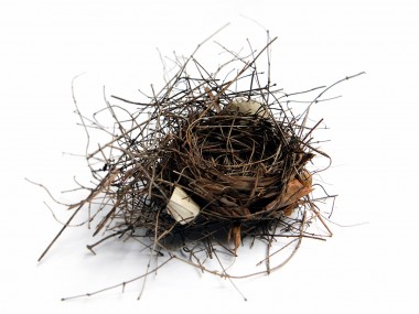 mary jo hoffman -cardinal-nest-2