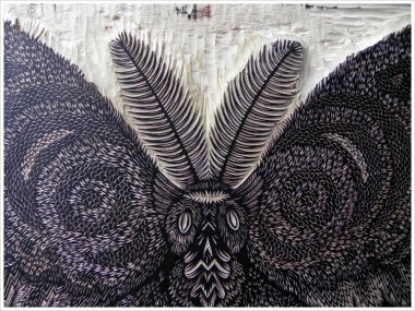 moth_face_woodcut