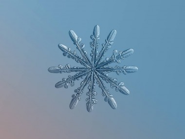 Alexey Kljatov- ChaoticMind75 photographer,snowflake cristal macro photography