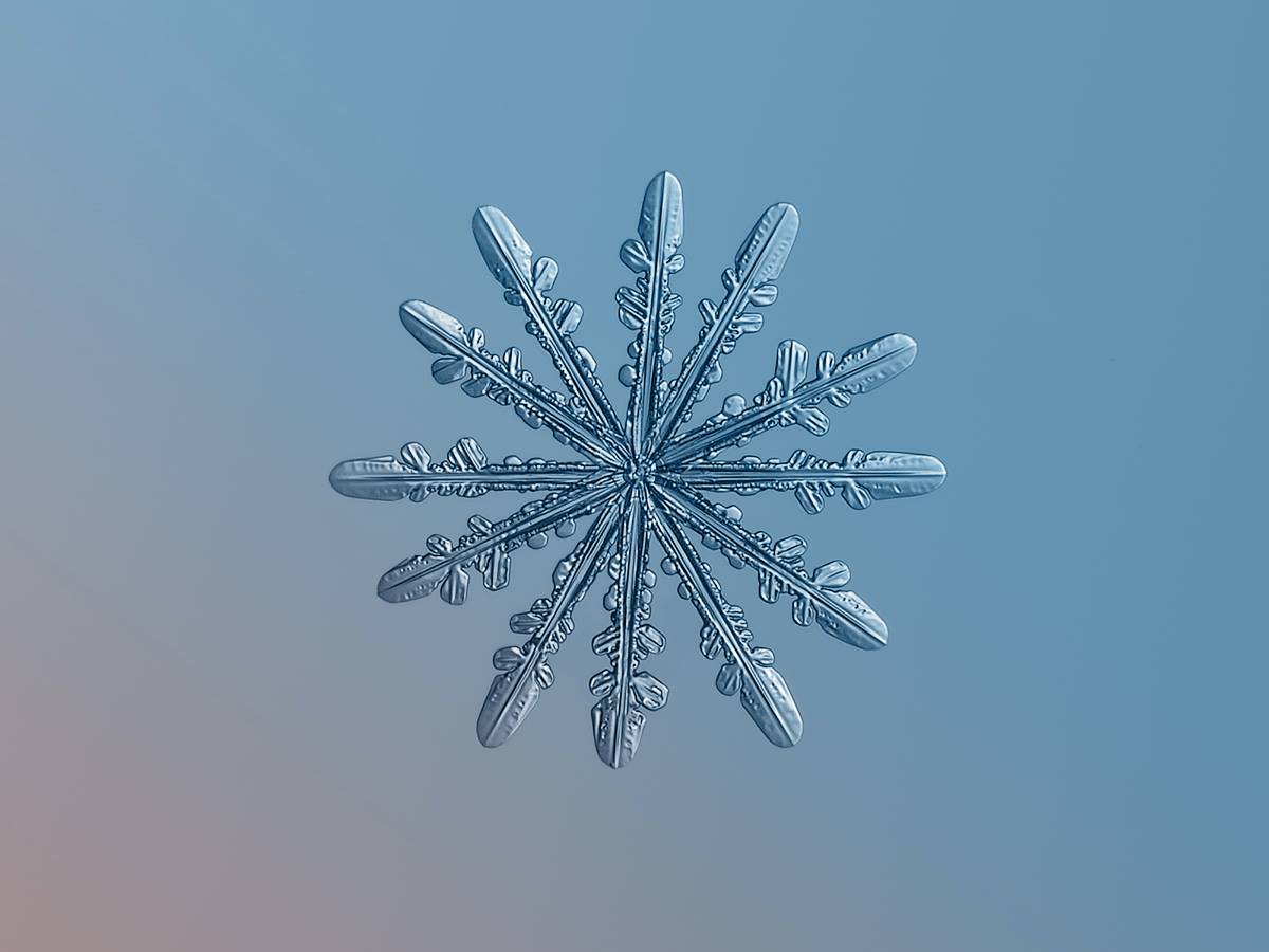 Alexey Kljatov- ChaoticMind75 photographer,snowflake cristal macro photography